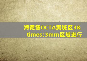 海德堡OCTA黄斑区3×3mm区域进行