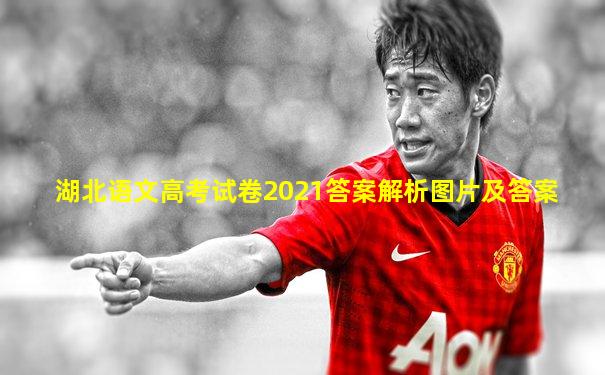 湖北语文高考试卷2021答案解析图片及答案