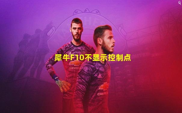犀牛F10不显示控制点