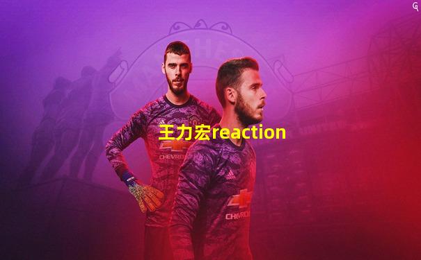 王力宏reaction