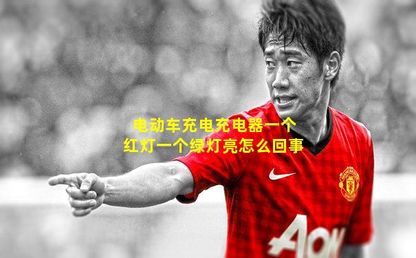 电动车充电充电器一个红灯一个绿灯亮怎么回事