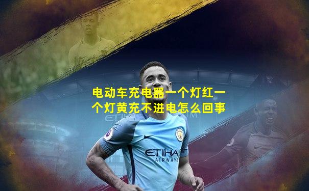 电动车充电器一个灯红一个灯黄充不进电怎么回事