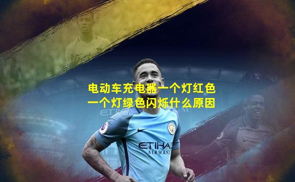 电动车充电器一个灯红色一个灯绿色闪烁什么原因