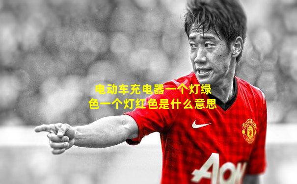 电动车充电器一个灯绿色一个灯红色是什么意思
