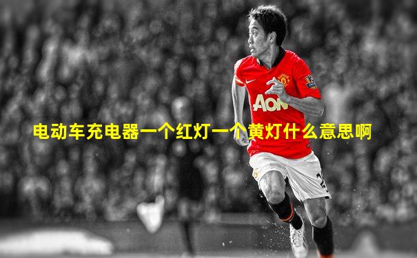 电动车充电器一个红灯一个黄灯什么意思啊