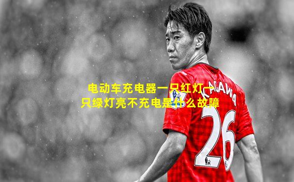 电动车充电器一只红灯一只绿灯亮不充电是什么故障