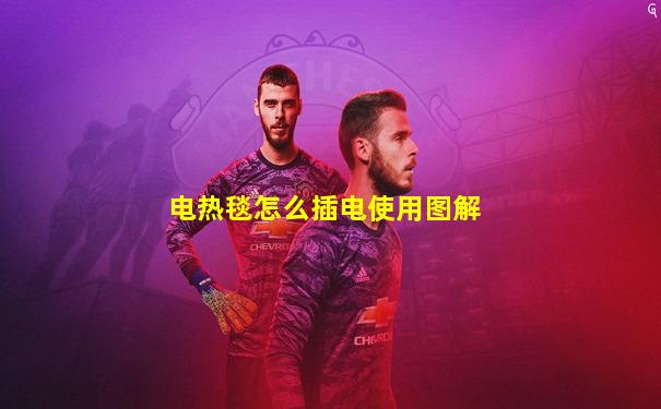 电热毯怎么插电使用图解