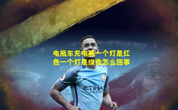 电瓶车充电器一个灯是红色一个灯是绿色怎么回事
