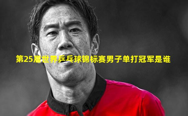 第25届世界乒乓球锦标赛男子单打冠军是谁