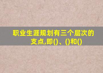 职业生涯规划有三个层次的支点,即()、()和()