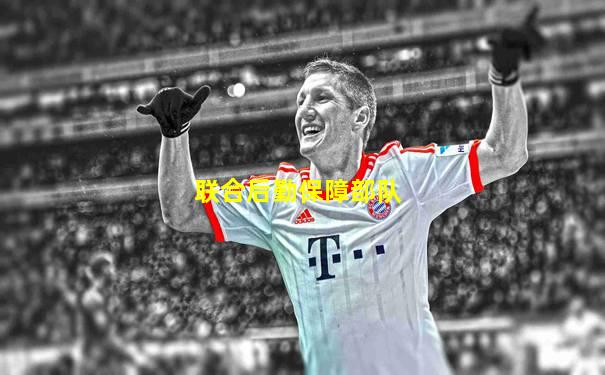 联合后勤保障部队