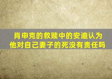 肖申克的救赎中的安迪认为他对自己妻子的死没有责任吗