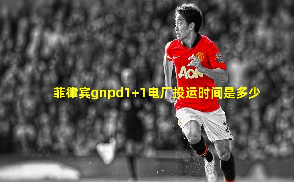 菲律宾gnpd1+1电厂投运时间是多少