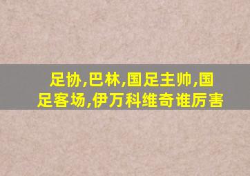 足协,巴林,国足主帅,国足客场,伊万科维奇谁厉害