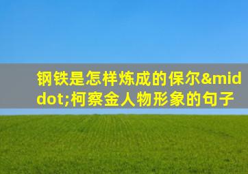 钢铁是怎样炼成的保尔·柯察金人物形象的句子