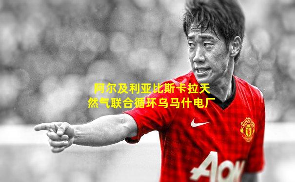 阿尔及利亚比斯卡拉天然气联合循环乌马什电厂