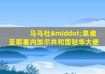 马马杜·恩迪亚耶塞内加尔共和国驻华大使