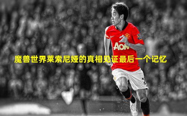 魔兽世界莱索尼娅的真相见证最后一个记忆